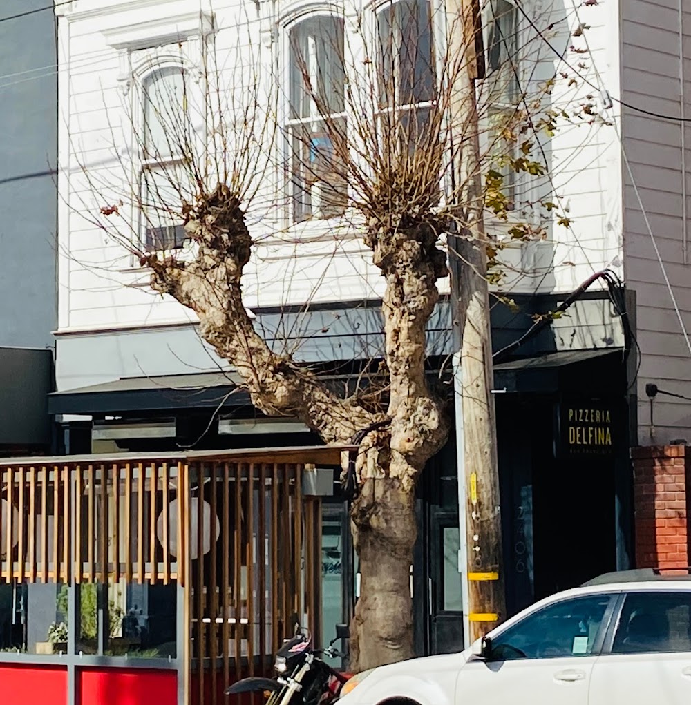 Pizzeria Delfina – Pacific Heights